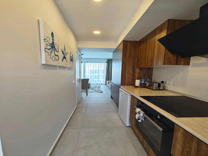 Contemporary Penthouse Apartment - Ansicht 4